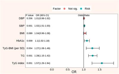 The threshold effect of triglyceride glucose index on diabetic kidney disease risk in patients with type 2 diabetes: unveiling a non-linear association